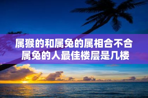 属猴的和属兔的属相合不合 属兔的人最佳楼层是几楼