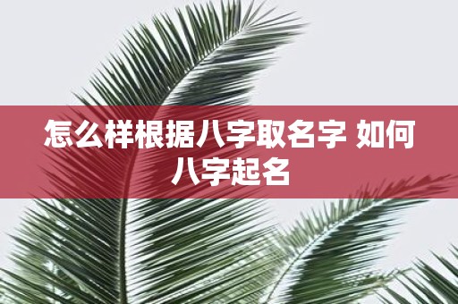 怎么样根据八字取名字 如何八字起名