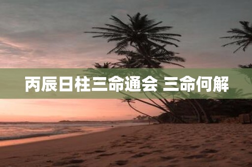 丙辰日柱三命通会 三命何解