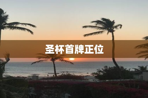 圣杯首牌正位