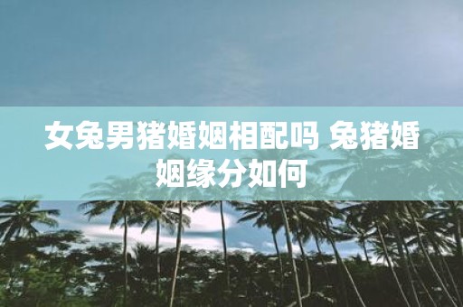 女兔男猪婚姻相配吗 兔猪婚姻缘分如何