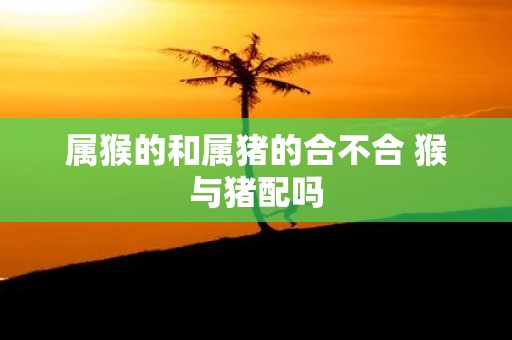 属猴的和属猪的合不合 猴与猪配吗
