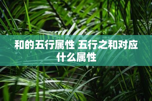 和的五行属性 五行之和对应什么属性