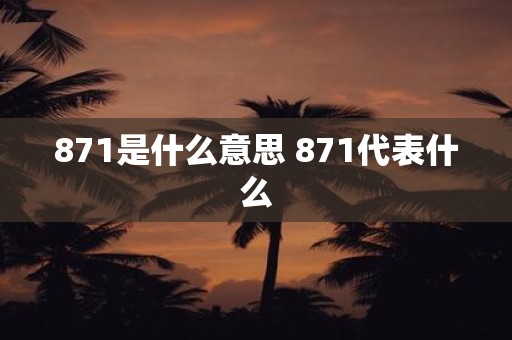 871是什么意思 871代表什么