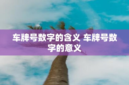 车牌号数字的含义 车牌号数字的意义