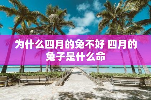 为什么四月的兔不好 四月的兔子是什么命