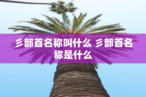 彡部首名称叫什么 彡部首名称是什么