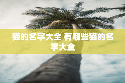 猫的名字大全 有哪些猫的名字大全