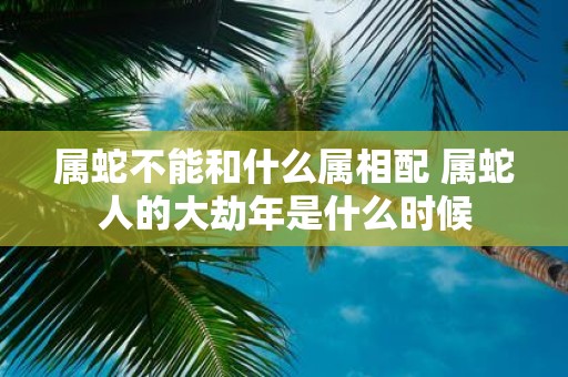 属蛇不能和什么属相配 属蛇人的大劫年是什么时候