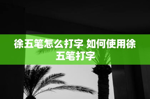 徐五笔怎么打字 如何使用徐五笔打字