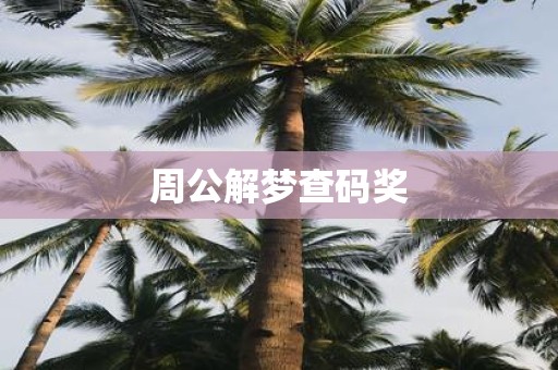 周公解梦查码奖