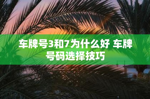 车牌号3和7为什么好 车牌号码选择技巧