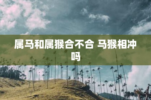 属马和属猴合不合 马猴相冲吗