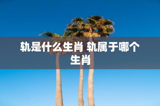 轨是什么生肖 轨属于哪个生肖