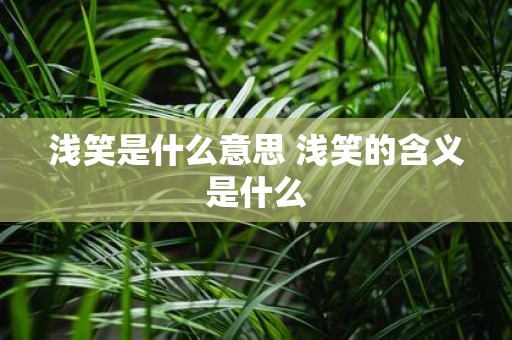 浅笑是什么意思 浅笑的含义是什么