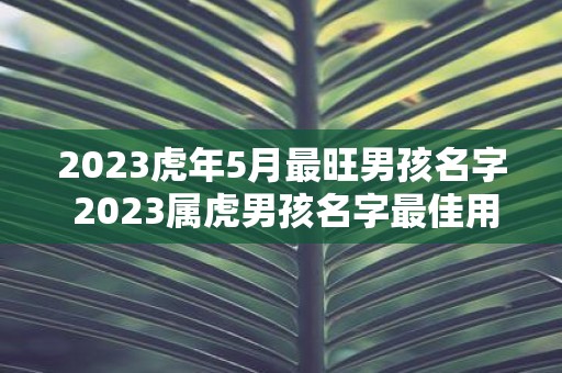 2025虎年5月最旺男孩名字 2025属虎男孩名字最佳用字