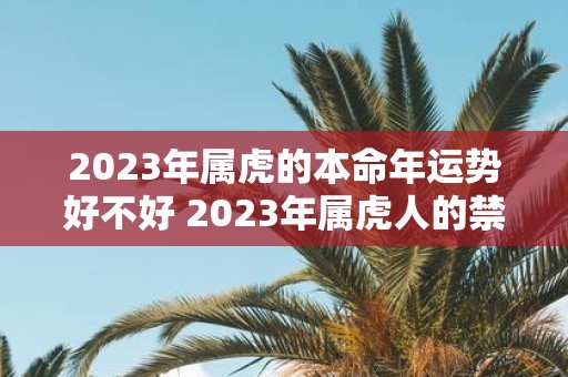 2025年属虎的本命年运势好不好 2025年属虎人的禁忌颜色