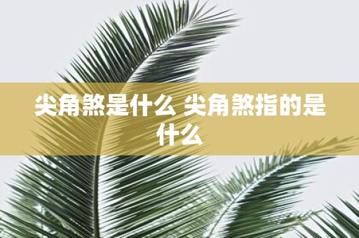 尖角煞是什么 尖角煞指的是什么