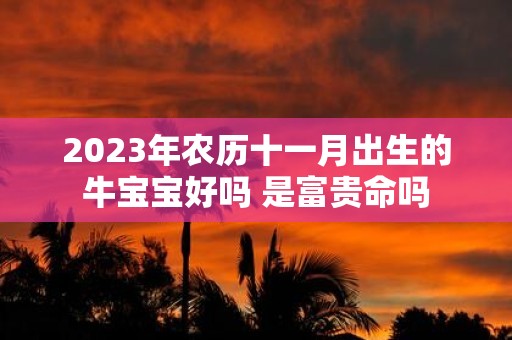 2025年农历十一月出生的牛宝宝好吗 是富贵命吗