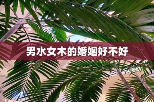 男水女木的婚姻好不好