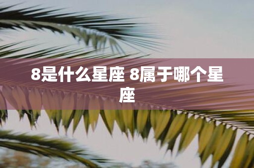 8是什么星座 8属于哪个星座