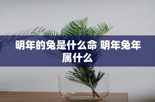 明年的兔是什么命 明年蛇年属什么