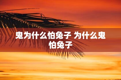 鬼为什么怕兔子 为什么鬼怕兔子