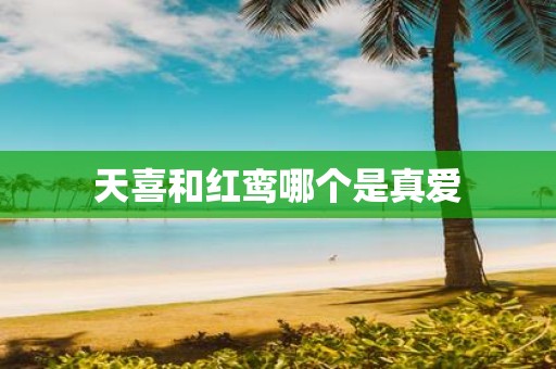 天喜和红鸾哪个是真爱