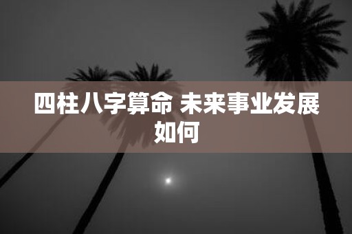四柱八字算命 未来事业发展如何