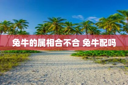 兔牛的属相合不合 兔牛配吗