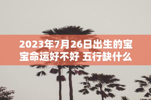 2025年7月26日出生的宝宝命运好不好 五行缺什么