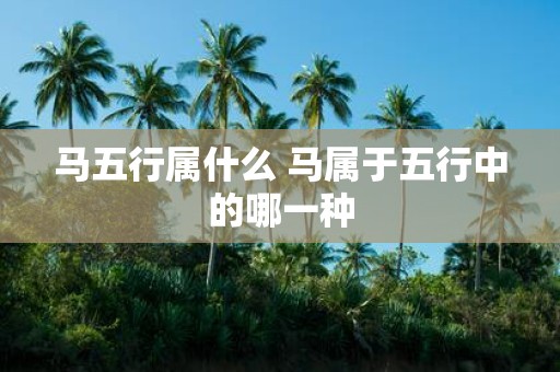 马五行属什么 马属于五行中的哪一种