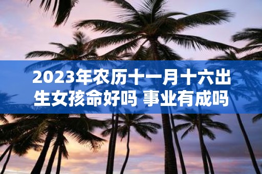 2025年农历十一月十六出生女孩命好吗 事业有成吗