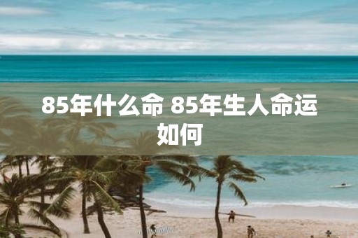 85年什么命 85年生人命运如何