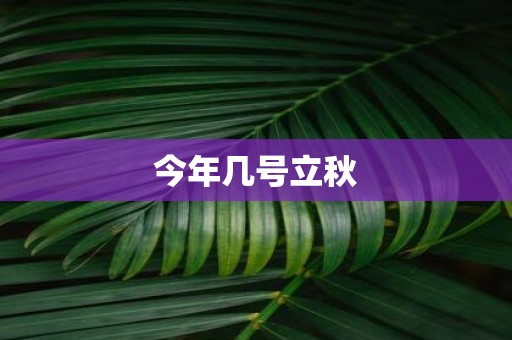 今年几号立秋