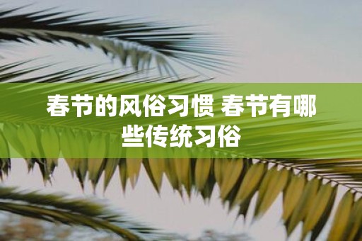 春节的风俗习惯 春节有哪些传统习俗