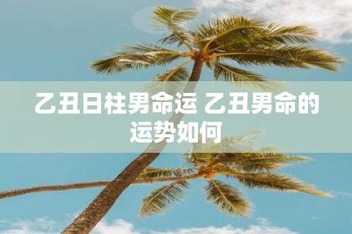 乙丑日柱男命运 乙丑男命的运势如何