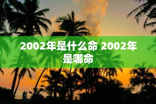2002年是什么命 2002年是哪命