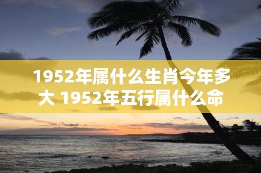 1952年属什么生肖今年多大 1952年五行属什么命