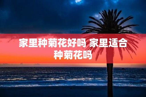 家里种菊花好吗 家里适合种菊花吗
