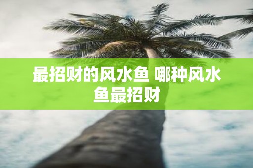 最招财的风水鱼 哪种风水鱼最招财
