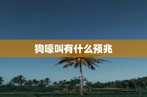 狗嚎叫有什么预兆