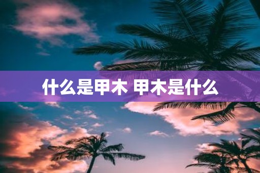 什么是甲木 甲木是什么