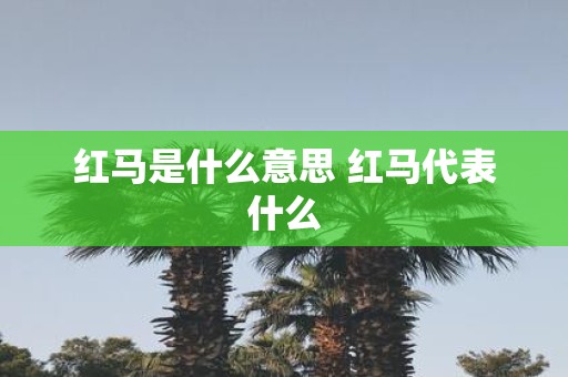 红马是什么意思 红马代表什么