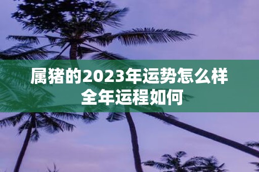 属猪的2025年运势怎么样 全年运程如何