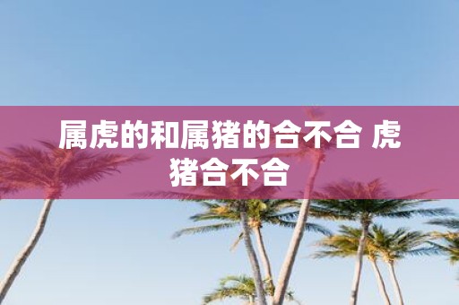 属虎的和属猪的合不合 虎猪合不合