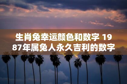 生肖兔幸运颜色和数字 1987年属兔人永久吉利的数字