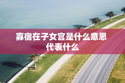 寡宿在子女宫是什么意思 代表什么