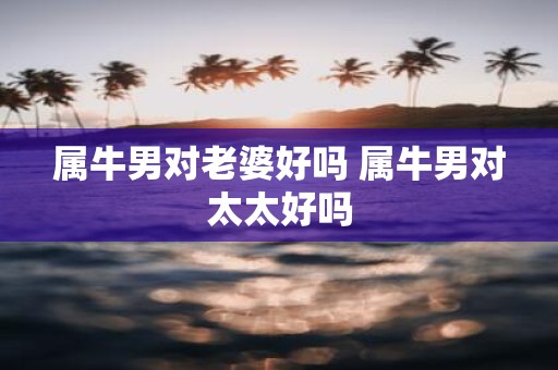 属牛男对老婆好吗 属牛男对太太好吗