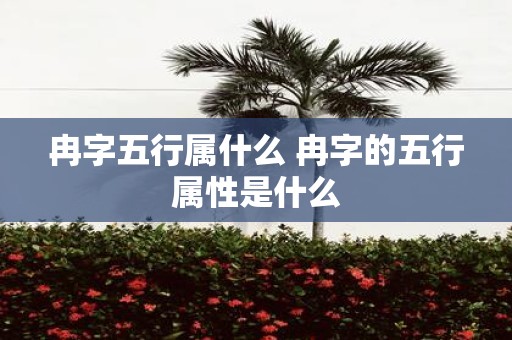 冉字五行属什么 冉字的五行属性是什么